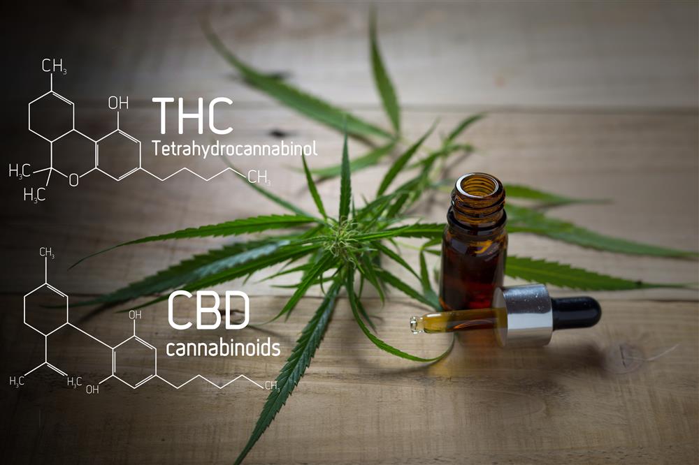 Basics of CBD Oil